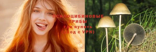 крисы Арсеньев