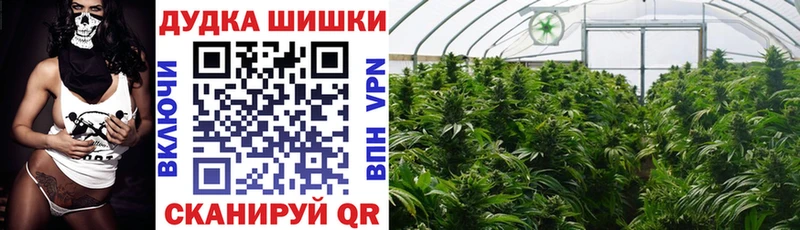 Бошки Шишки THC 21% Ярцево